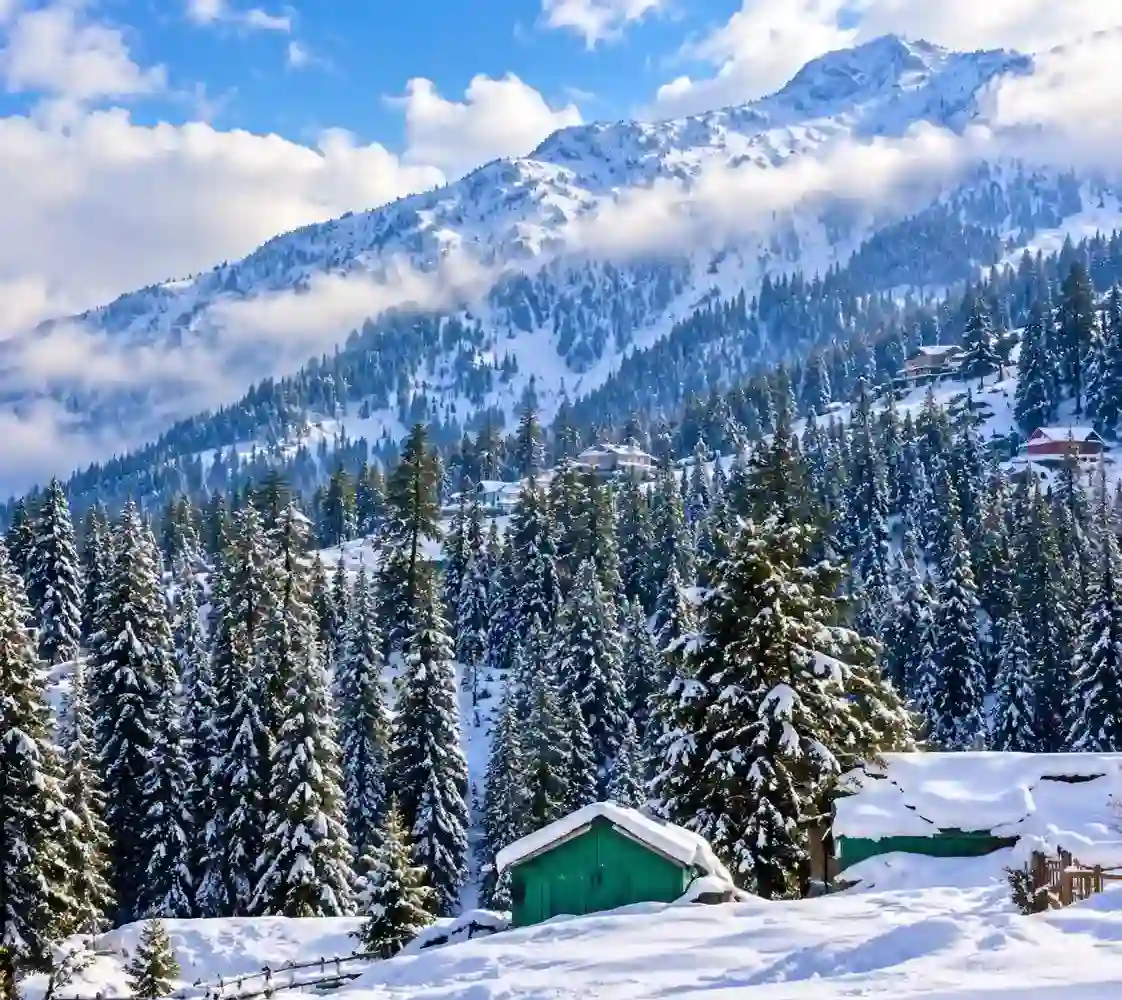 Green hills and forest scenery around Murree